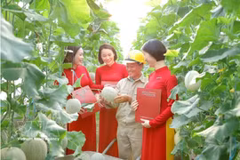 Agribank es también uno de los bancos que destina un capital significativo al sector de la agricultura verde. (Foto: VNA)