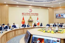 La viceministra de Industria y Comercio vietnamita, Phan Thi Thang, y el viceministro de Relaciones Exteriores de Perú, Félix Denegri Boza, co-presidieron la tercera sesión plenaria del Comité Intergubernamental bilateral. (Fuente: VNA)