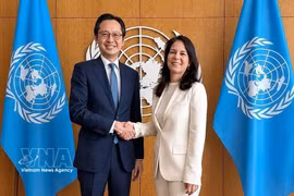 El embajador Do Hung Viet, jefe de la misión de Vietnam ante las Naciones Unidas (ONU), se reúne con Annalena Baerbock, presidenta del 80.º período de sesiones de la Asamblea General de la ONU. (Fuente: VNA)