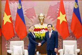 El presidente de la Asamblea Nacional de Vietnam, Tran Thanh Man, se reúne con la primera ministra de Liechtenstein, Brigitte Haas. (Fuente: VNA)
