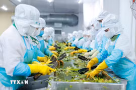 Azerbaiyán está particularmente interesado en la industria de procesamiento agrícola de Vietnam. (Foto: VNA)