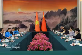 Panorama de la reunión. (Fuente: VNA)