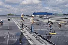 Muchas empresas y hogares de la provincia de Ca Mau utilizan energía solar para reducir costes. (Fuente: VNA)