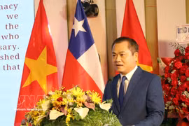 El presidente de la la filial de la Unión de Organizaciones de Amistad de Vietnam en Da Nang, Nguyen Ngoc Binh, habla en el evento. (Fuente: VNA)