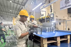 Línea de producción de piezas para automóviles y motocicletas en la Compañía de Industria de Precisión de Vietnam 1 en la provincia de Phu Tho. (Fuente: VNA)