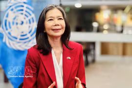 Pauline Tamesis, coordinadora residente de la ONU en Vietnam en la entrevista. (Fuente: VNA)