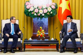 El presidente vietnamita recibe al ministro de Relaciones Exteriores de Cuba, Bruno Rodríguez Parrilla. (Fuente: VNA)