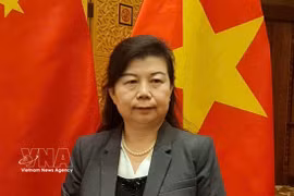 Liu Ying, investigadora del Instituto de Estudios Financieros de Chongyang de la Universidad Renmin de China. (Fuente: VNA)