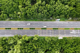 Belleza de carretera a través del bosque de manglares en Ciudad Ho Chi Minh