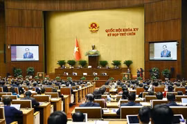 Panorama del evento. (Fuente: VNA)