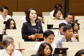 La diputada Ly Thi Lan de la provincia de Tuyen Quang interviene en el evento. (Foto: VNA)