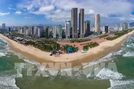 Da Nang: un destino turístico líder en la región y el mundo. (Foto: VNA)
