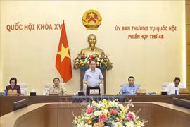 El presidente de la Asamblea Nacional de Vietnam, Tran Thanh Man, pronuncia el discurso de clausura de la 48.ª reunión del Comité Permanente. (Fuente: VNA)