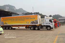 Los contenedores de fruta de durian fresca exportados desde Vietnam cuentan con un sistema de trazabilidad integral. (Foto: VNA)