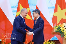 El primer ministro vietnamita, Le Minh Hung, y su homólogo polaco, Donald Tusk. (Fuente: VNA)