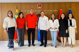 Delegados en el evento. (Fuente: VNA)