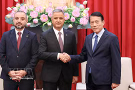 El ministro de Seguridad Pública de Vietnam, Luong Tam Quang, recibe a los gerentes de ICT y ANVI. (Fuente: VNA)