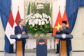 El secretario general del Partido Comunista de Vietnam, To Lam, y el presidente de Indonesia, Prabowo Subianto, hablan con la prensa. (Fuente: VNA)