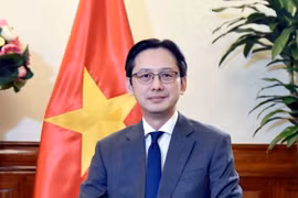 Do Hung Viet, viceministro de Relaciones Exteriores de Vietnam. (Fuente: VNA)