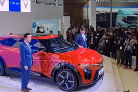 VinFast lanza oficialmente su marca en la India. (Fuente: VNA)