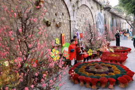 Localidades vietnamitas celebran diversas actividades culturales y artísticas durante el Tet. (Fuente: VNA)