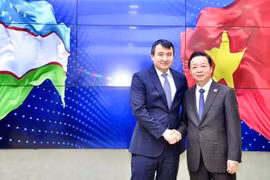 El viceprimer ministro vietnamita Tran Hong Ha sostuvo conversaciones con su homólogo uzbeko Jamshid Khodjaev. (Fuente: VNA)