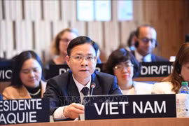 Ngo Le Van, viceministro de Relaciones Exteriores de Vietnam, en el evento. (Fuente: VNA)