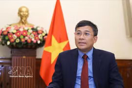 El viceministro permanente de Relaciones Exteriores, Nguyen Minh Vu. (Fuente: VNA)