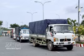 Camiones de carga buscan completar los trámites de importación en el paso fronterizo terrestre internacional de Khanh Binh. (Foto: VNA)