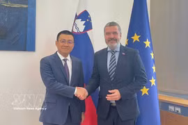 El embajador vietnamita en Austria y Eslovenia, Vu Le Thai Hoang, y el ministro de Asuntos Exteriores y Europeos esloveno, Tone Kajzer. (Fuente: VNA)