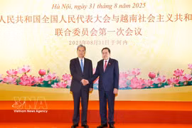 El presidente de la Asamblea Nacional, Tran Thanh Man, y el presidente del Comité Permanente de la Asamblea Popular Nacional de China, Zhao Leji, presiden conjuntamente la primera reunión del Comité de cooperación entre las dos agencias, organizada en agosto de 2025 en Hanoi. (Foto: VNA)