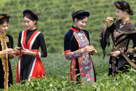 El evento contribuye a promover la cultura del té y a honrar sus valores tradicionales que han estado estrechamente ligados a la vida de la población local durante generaciones. (Foto: nhandan.vn)