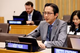 El embajador Do Hung Viet, jefe de la Misión Permanente de Vietnam ante la ONU, en el evento. (Fuente: VNA)