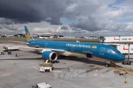 Avión de Vietnam Airlines. (Fuente: VNA)