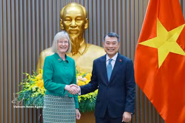 El primer ministro de Vietnam, Le Minh Hung, recibe a la embajadora de Australia en Vietnam, Gillian Bird. (Fuente: VNA)