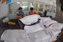 Productos de arroz para la exportación en la empresa de alimentos Thoai Son. (Fuente: VNA)