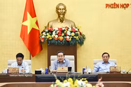 El presidente de la Asamblea Nacional de Vietnam, Tran Thanh Man, preside la reunión. (Fuente: VNA)