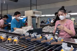 La empresa textil y química Ha Tay tiene numerosos pedidos de exportación a los mercados de Estados Unidos y Europa. (Foto: VNA)