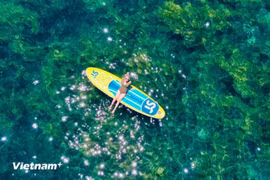 Nhon Hai busca equilibrar el turismo marino con la conservación de los arrecifes de coral