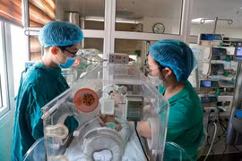 Vietnam ha logrado avances en la protección de las vidas de los recién nacidos y sus madres. (Fuente: Vietnamplus) 