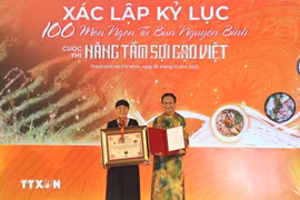 La Organización de Récords de Vietnam (VietKings) otorgó el récord a 100 deliciosos platos elaborados con fideos de arroz. (Foto:VNA)
