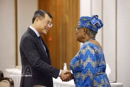 El primer ministro vietnamita, Le Minh Hung, se reúne con la directora general de la Organización Mundial del Comercio (OMC), Ngozi Okonjo-Iweala. (Fuente: VNA)
