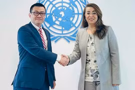 La directora ejecutiva de la Oficina de las Naciones Unidas contra la Droga y el Delito (UNODC), Ghada Fathi Waly, y el embajador Vu Le Thai Hoang, jefe de la misión permanente de Vietnam ante la ONU y las organizaciones internacionales en Viena, Austria. (Fuente: nhandan.vn)