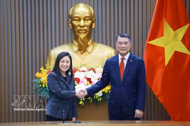 El primer ministro vietnamita, Le Minh Hung, recibe a la nueva embajadora de Estados Unidos en Vietnam, Jennifer Wicks. (Fuente: VNA)