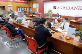 Clientes realizan transacciones en la sucursal de Agribank en la provincia de Hung Yen. (Foto: VNA)