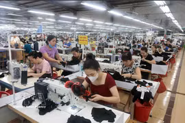 El ambiente laboral en la empresa textil Thai Nguyen. (Foto: VNA)