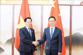 El viceprimer ministro vietnamita, Mai Van Chinh, se reunió con el subjefe del Estado chino Han Zheng. (Fuente: VNA)