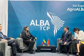 Panorama de la reunión entre la viceministra de Relaciones Exteriores de Venezuela, Tatiana Pugh Moreno, y Nguyen Hong Son, director del Instituto de Ciencias Agrícolas de Vietnam. (Fuente: VNA)