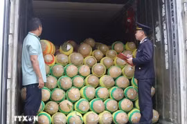 Funcionarios de aduanas en la puerta fronteriza de Huu Nghi (Lang Son) inspeccionan las mercancías de exportación. (Fuente: VNA)