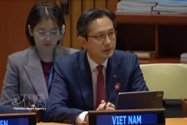 El embajador Do Hung Viet, jefe de la Misión Permanente de Vietnam ante las Naciones Unidas (ONU) en Nueva York. (Fuente: VNA)